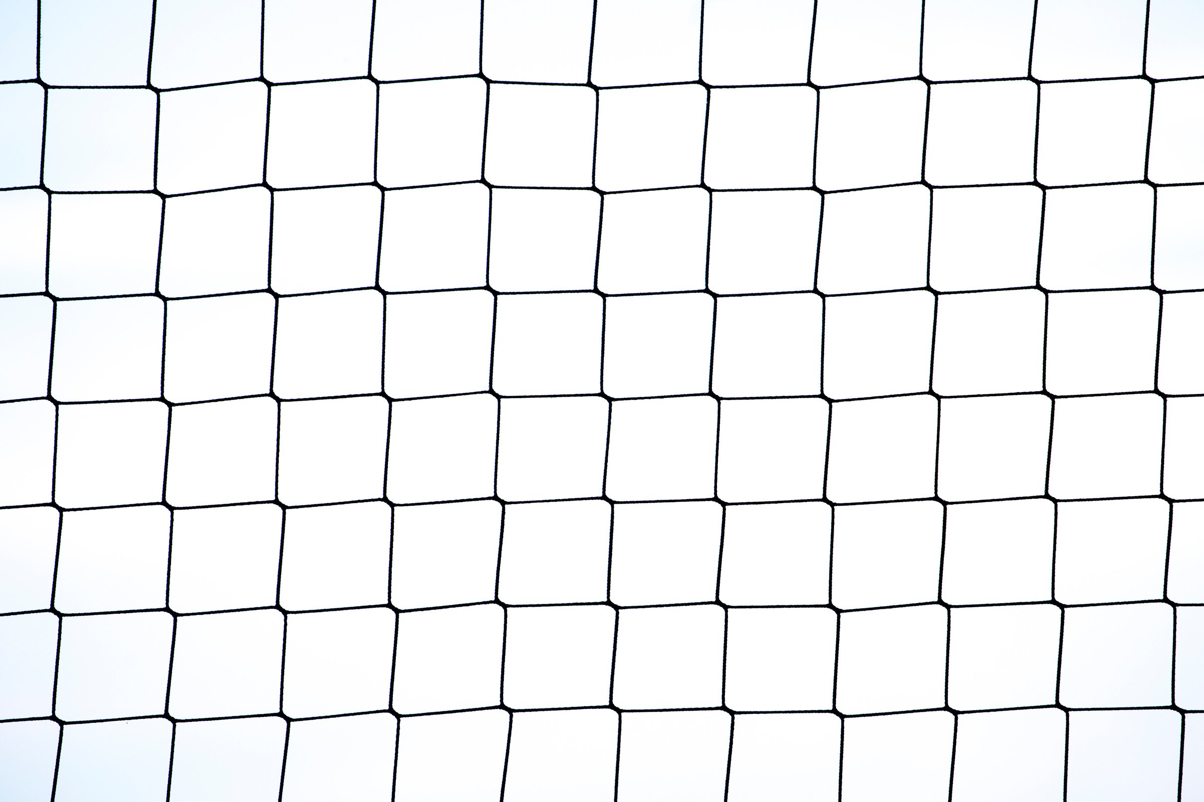 Sport net on white background. Volleyball net.